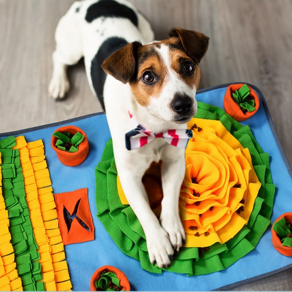 a dog and snuffle mat