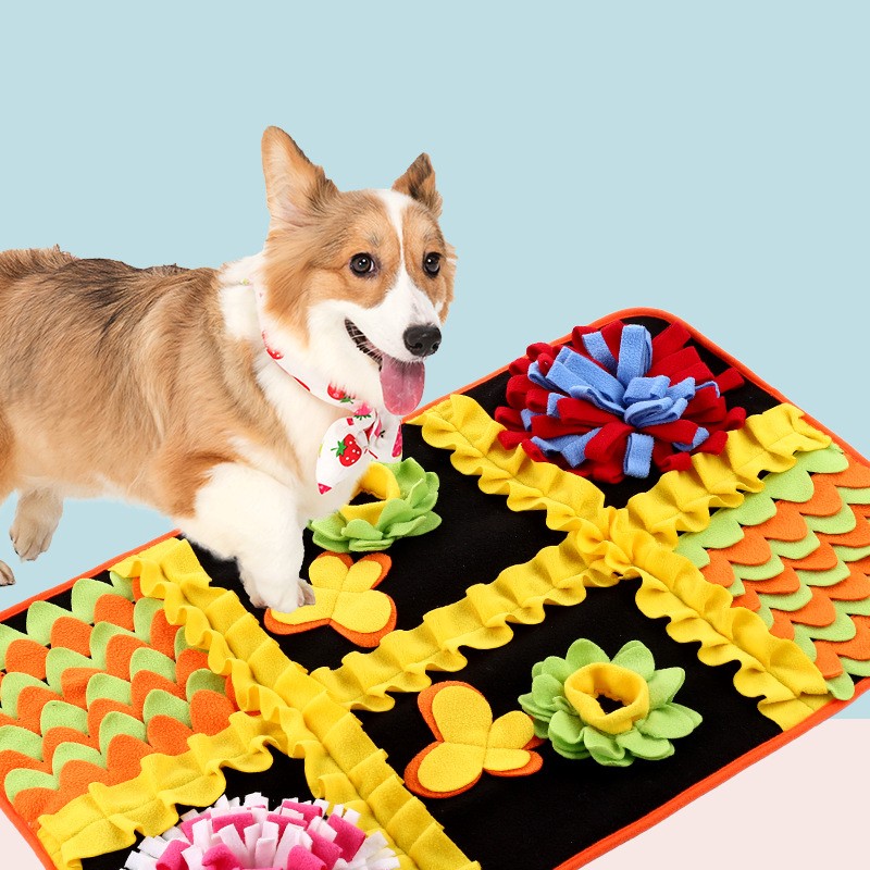 a dog stand on a snuffle mat