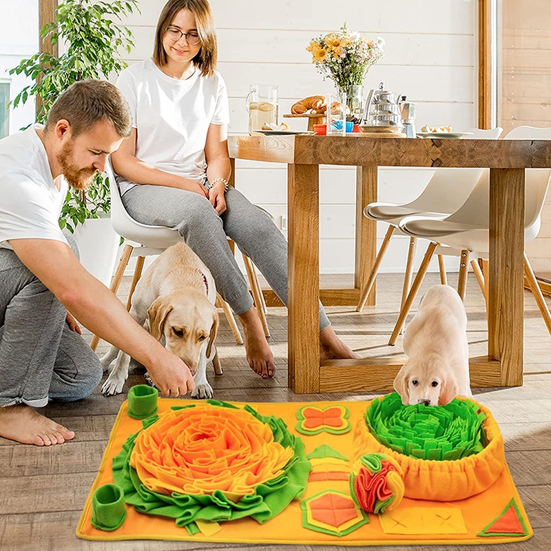 using snuffle mat to feed dog